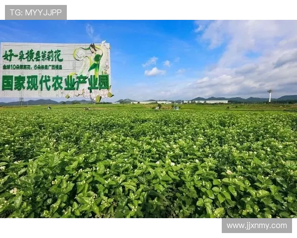 九台农商银行推动金融创新助力乡村振兴战略实施发展路径探析 九台农商银行推动金融创新助力乡村振兴战略实施发展路径探析
